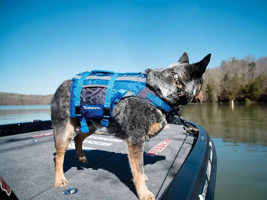 boatingreece , boating , dogs , cats , boating pets, yachting,  boating greece