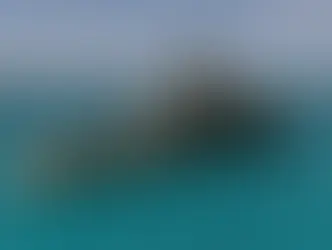 Μία άκρως βιώσιμη διαμόρφωση στο εσωτερικό του FLEXPLORER146, με πρωτοποριακά υλικά από την φύση