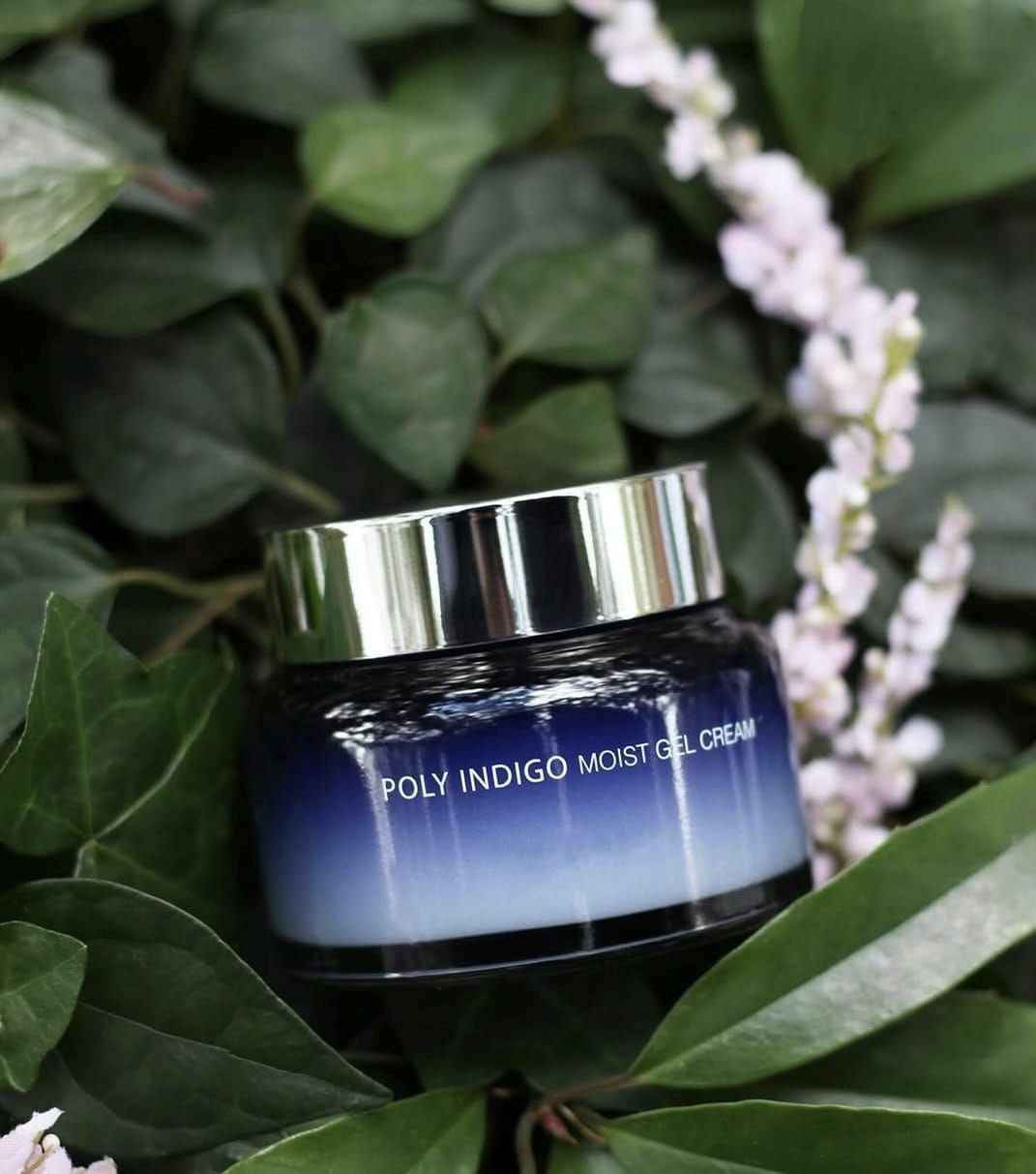 eju Indi Indigo Moist Gel Cream – soothing hydrating gel with Jeju indigo extract.
