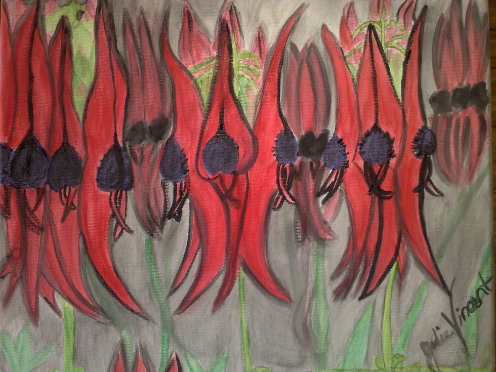 Desert Peas 2010 Water colour on canvas 30.5cm x 25.5cm