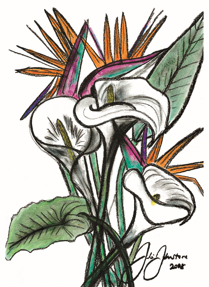 Birds of Paradise and Calla Lillies 2008 Charcoal & watercolour on paper 27cm x 36cm