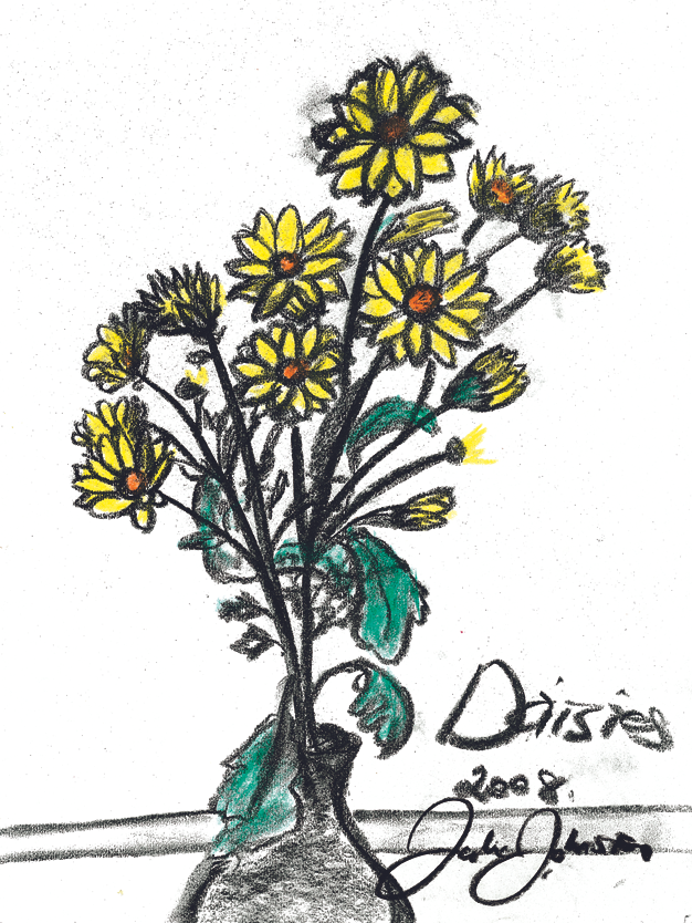Daisies 2008 Charcoal & watercolour on paper 27cm x 36cm