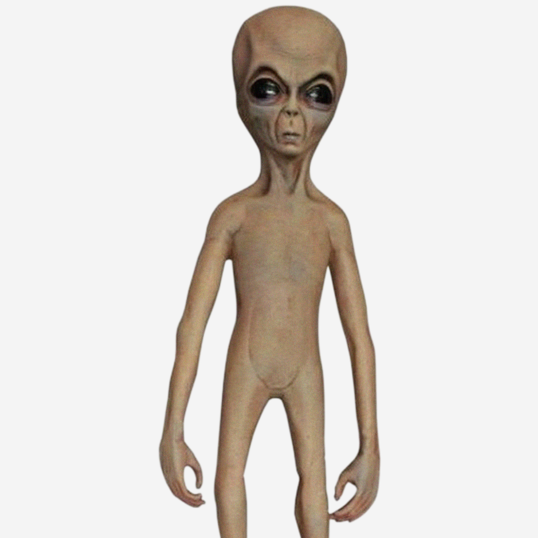 Roswell Alien - Lifesize alien doll