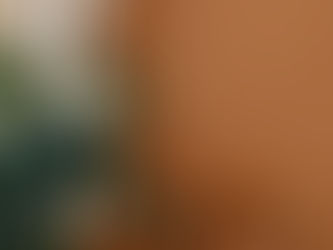 Inspiration for Launching the Three-Month Outpatient Sober Living Coaching Program