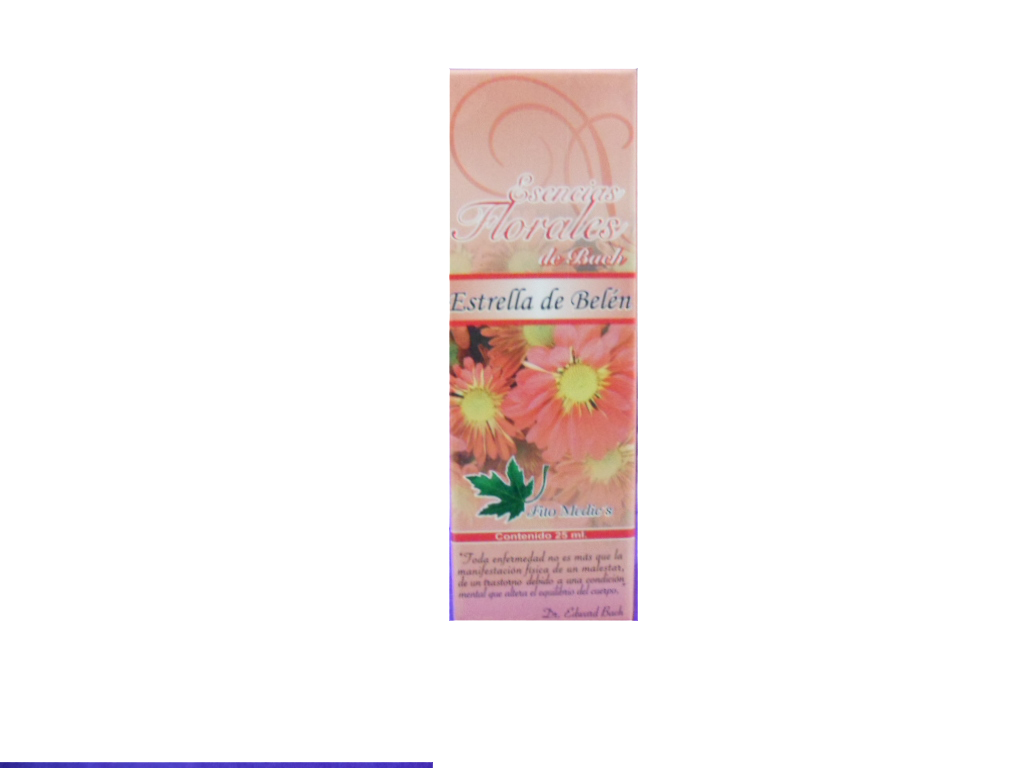 Producto: Estrella de Belén
