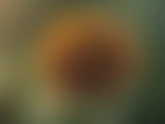Unveiling the Phoenix From the Depths of Despair