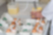 EU’s food safety alert has switched on...
