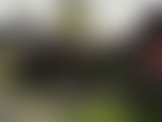 The Hobbit Houses in Los Angeles