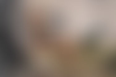 When a dog asks for your help