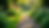 Close-up view of a peaceful garden path surrounded by vibrant greenery