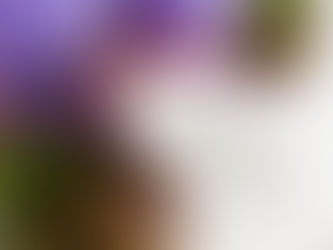 A Backpack Away from Solo Travelling!