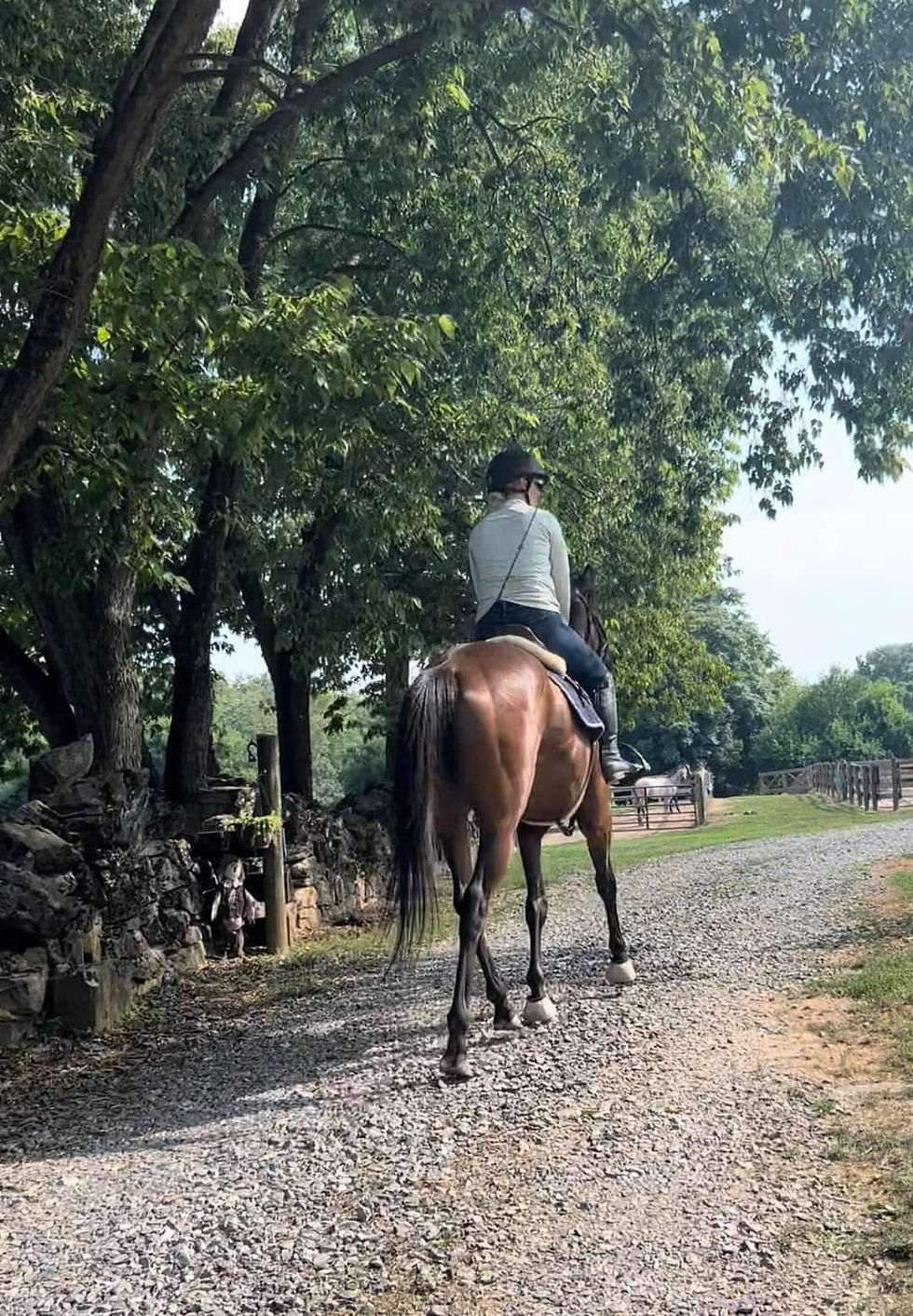Muddy Drop Kid (2020 Gelding)