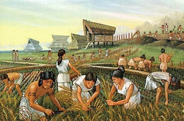 IndigenasPrecolombinos-EnElCampo.jpg