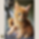 red solid maine coon kitten.png