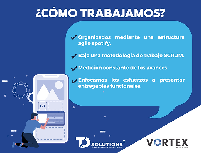 Desarrollo de Software Bajío, TD SOLUTIONS