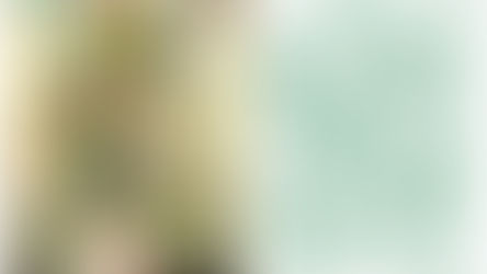 Esbossos de la Falla Doctor Serrano - Carlos Cervera - Clero 2020 