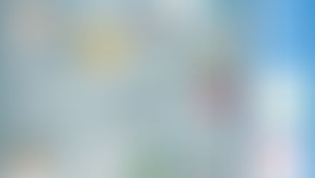 La Falla Els Vents vuelve a sumarse a Libera1m2 en recogida de Basuraleza