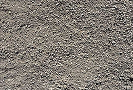 IMG_8773.JPG