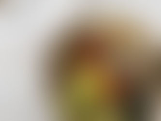 서울 성북구 안암동 고려대학교 학회 단체도시락 | 대학교 행사도시락