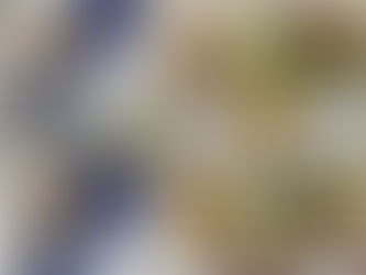 강남역 서초대륭타워 스파크플러스 삼성바이오에피스 단체샌드위치도시락 | 단체샌드위치도시락