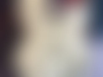 NO.581 AriaproⅡ pe delux