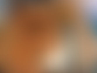 NO.228 Famous FU-120