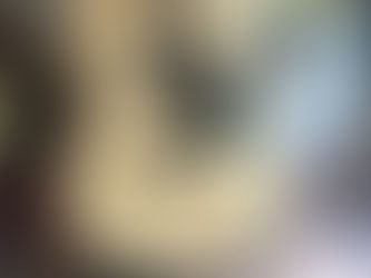 NO.198 モーリス W-40