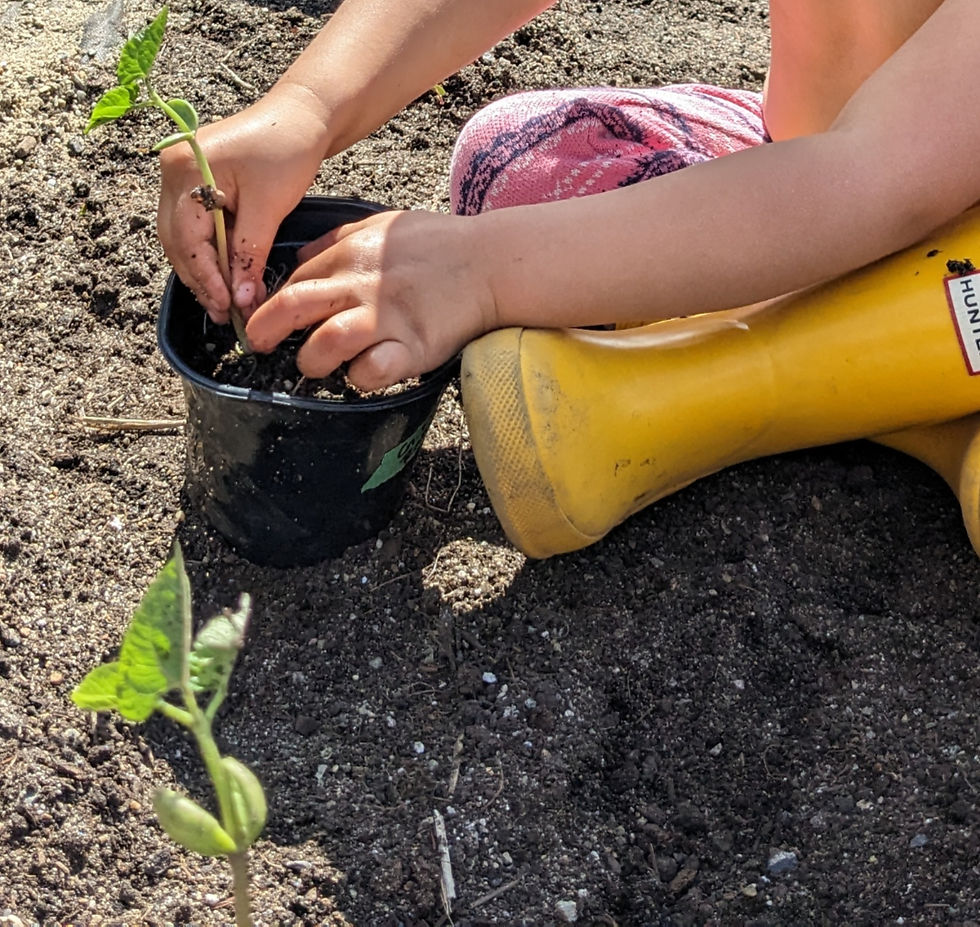 PXL_20230510_204139806_edited