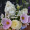 Thumbnail: Flower Cart