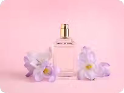 Frame 2147231761 (1) (1).avif