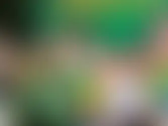 Flávio Bolsonaro qualifica de nojo reunião do STF e lembra que se eleito Lula vai indicar “mais quatro Alexandre de Moraes”