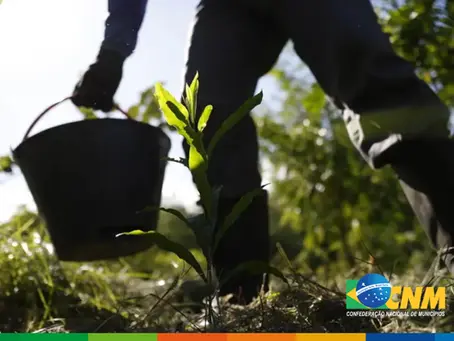 Garantia-Safra: agricultores familiares receberão o recurso do garantia safra em abril