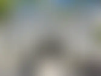 Bastidores fervem com disputa pela nova Mesa Diretora da Câmara do Recife