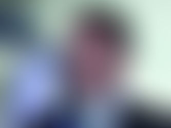 Bolsonaro versão 2.0