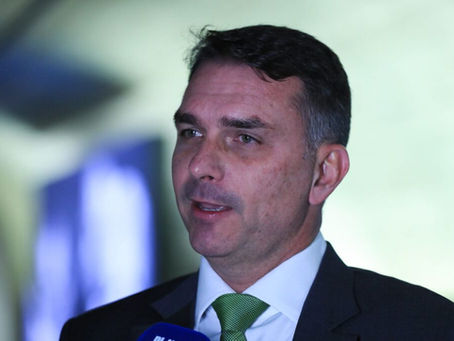 Bolsonaro versão 2.0