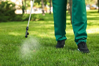 fumigacion de areas verdes en ensenada