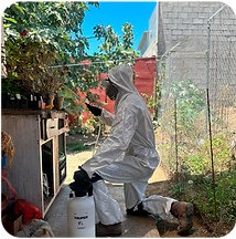 servicio de fumigacion en ensenada