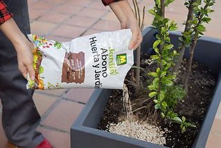 fertilizantes de areas verdes en ensenada
