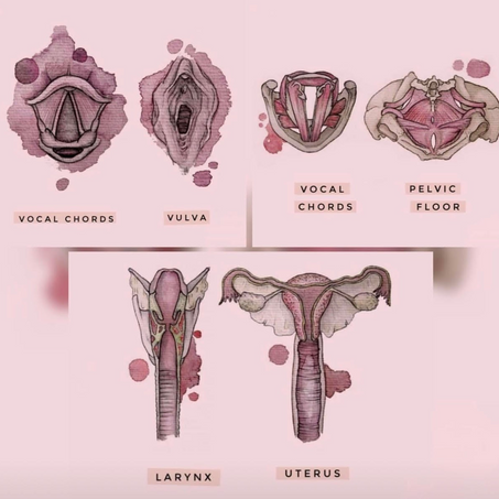 The Profound Connection Between the Jaw and the Pelvis