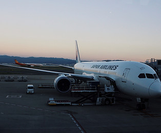 KIX JAL 787.jpg