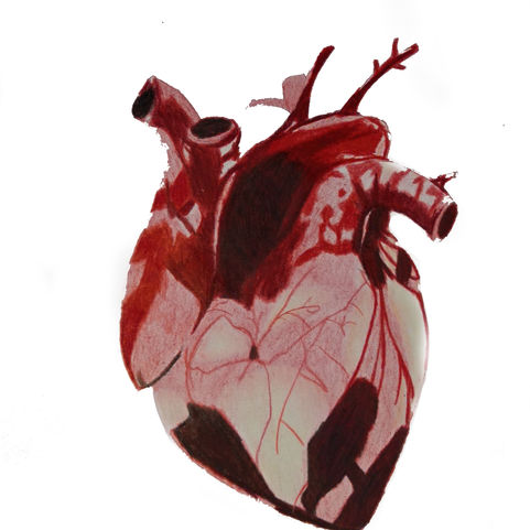 IMG_20210813_135207.jpg