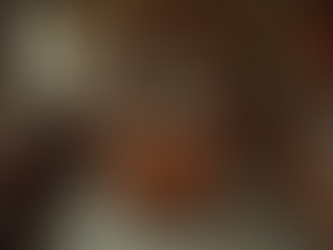 Exploring the Best Antique Stores Near You