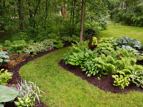Work With the Best Landscape Property Maintenance Contractors Near Me