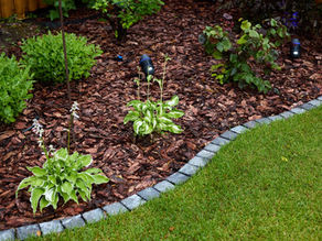 Garden Bed & Mulch Installation Services in Westport, CT by Palmer Landscapes