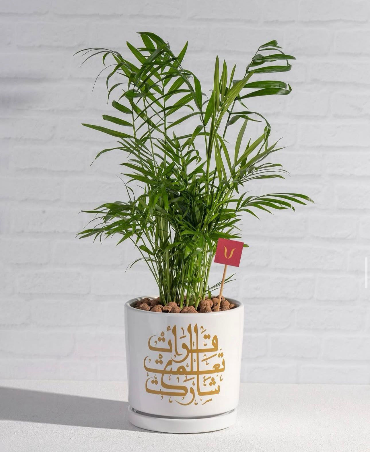 Bahraini Woman's Day