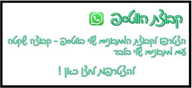 דף ייעודי ווטסאפ.png