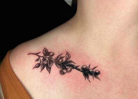 IMG_8135-preview 2.HEIC