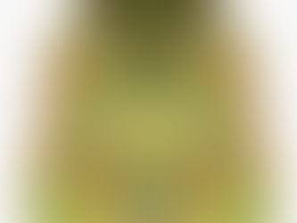Textando o novo mapa de site