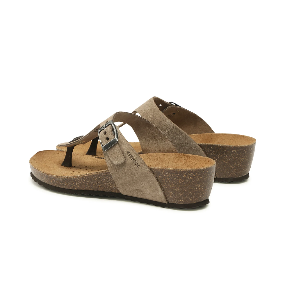 Miniature : Geox / Stellae