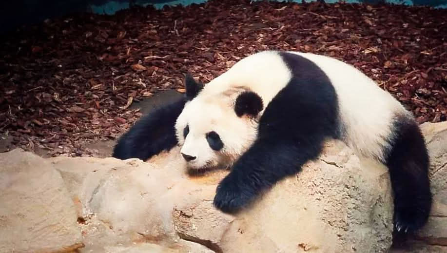 facebook_1758396160002_7375248047482495029